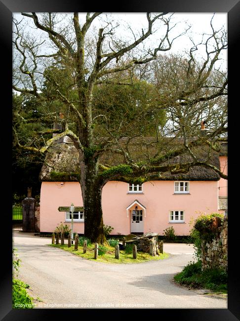 Pink Thatched Cottage Framed Print by Stephen Hamer