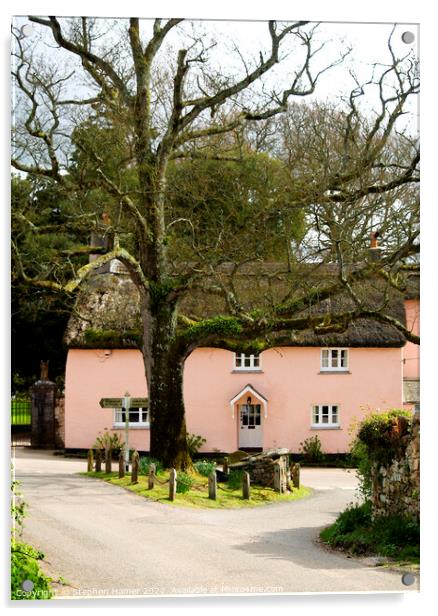 Pink Thatched Cottage Acrylic by Stephen Hamer