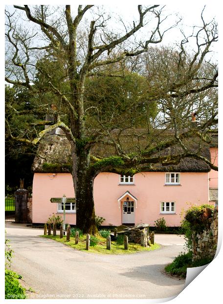 Pink Thatched Cottage Print by Stephen Hamer