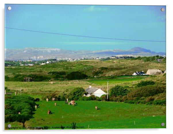 Fields and Hills of Sligo Acrylic by Stephanie Moore