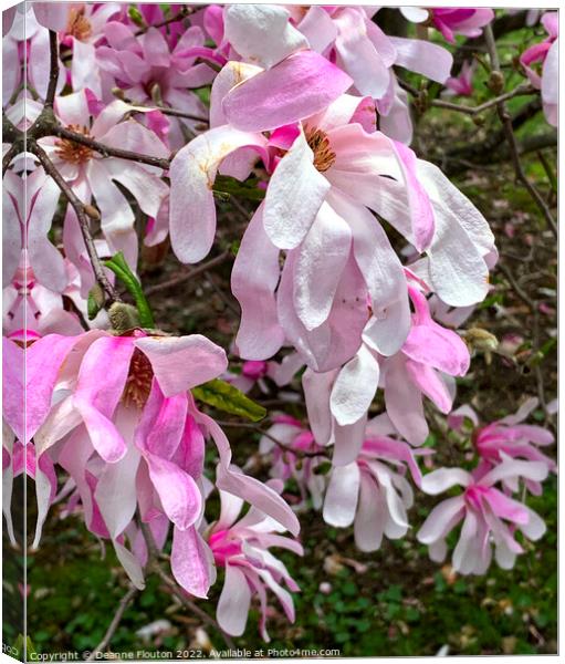 Vibrant Magnolia Blooms Canvas Print by Deanne Flouton