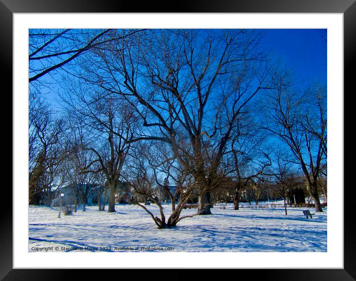 Trees in Strathcona Park, Ottawa, ON Framed Mounted Print by Stephanie Moore