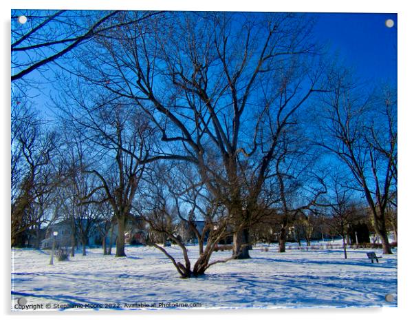 Trees in Strathcona Park, Ottawa, ON Acrylic by Stephanie Moore