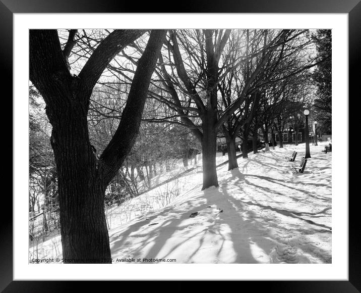 Winter Trees in B/W Framed Mounted Print by Stephanie Moore