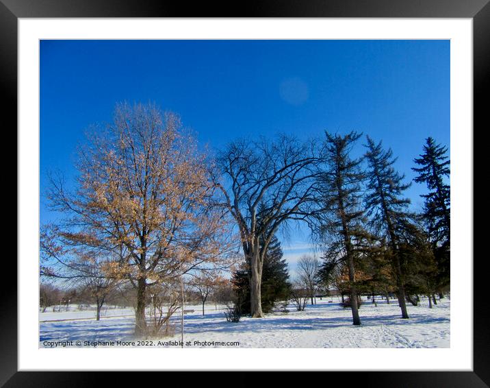 Perfect Winter Day Framed Mounted Print by Stephanie Moore