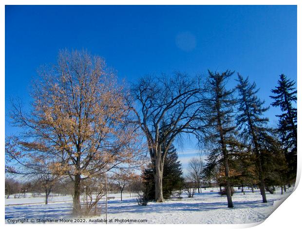 Perfect Winter Day Print by Stephanie Moore