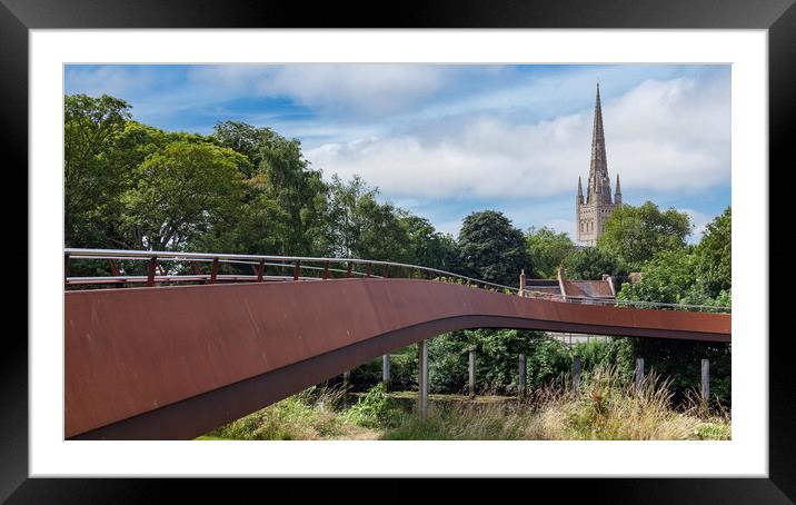 Majestic Norwich Cathedral in Summer Framed Mounted Print by Kevin Snelling