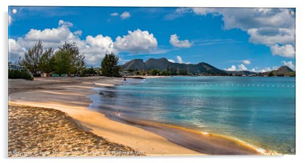 Paradise Found An Antiguan Beach Dream Acrylic by Peter Thomas