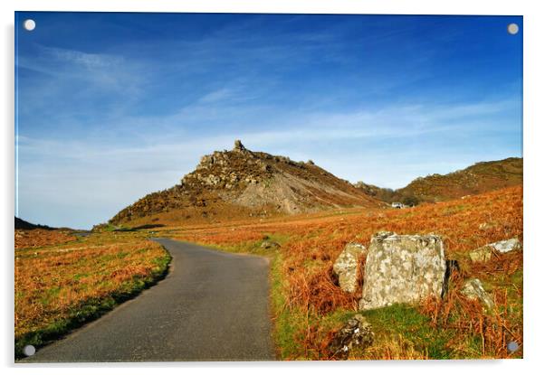 Valley of the Rocks Exmoor North Devon Acrylic by Darren Galpin