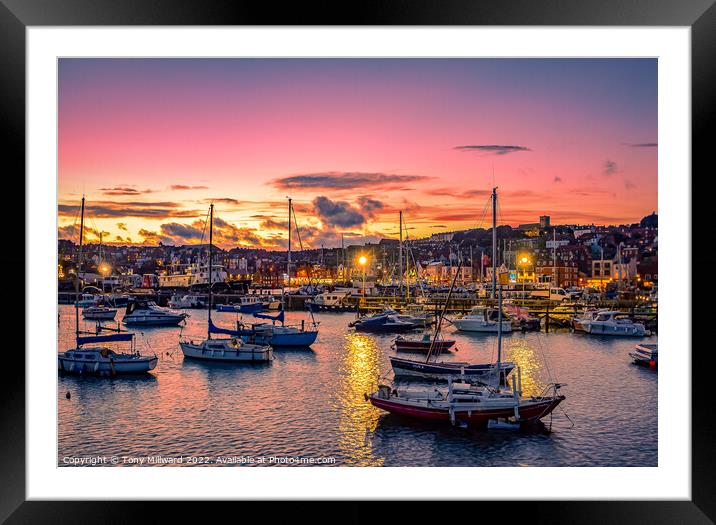 Scarborough Harbour sunset Framed Mounted Print by Tony Millward