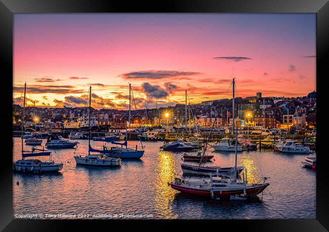Scarborough Harbour sunset Framed Print by Tony Millward