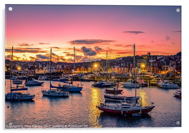Scarborough Harbour sunset Acrylic by Tony Millward
