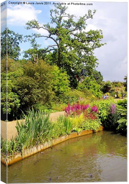 Fish in pond at Wisley Canvas Print by Laura Jarvis
