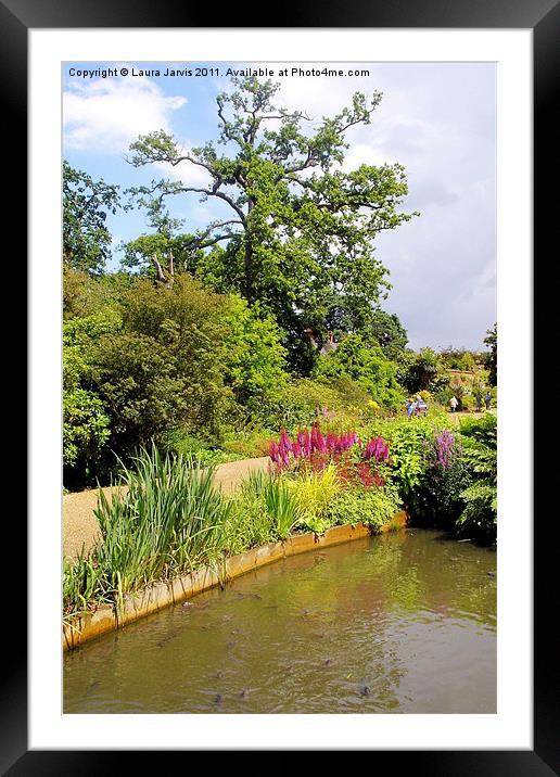 Fish in pond at Wisley Framed Mounted Print by Laura Jarvis