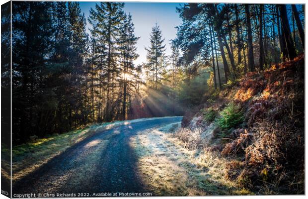 Frosty Morning in Brechfa Forest, Carmarthenshire Canvas Print by Chris Richards