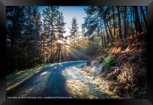 Frosty Morning in Brechfa Forest, Carmarthenshire Framed Print by Chris Richards
