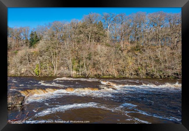 The River Tees at Whorlton in Strong  Winter Sunshine Framed Print by Richard Laidler