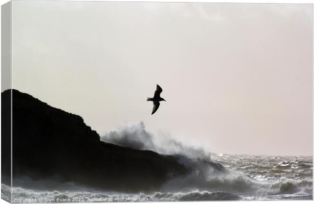 Flying through the storm at Dunraven Bay. Canvas Print by Glyn Evans