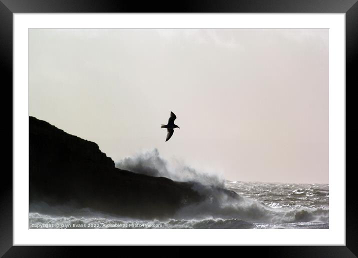Flying through the storm at Dunraven Bay. Framed Mounted Print by Glyn Evans