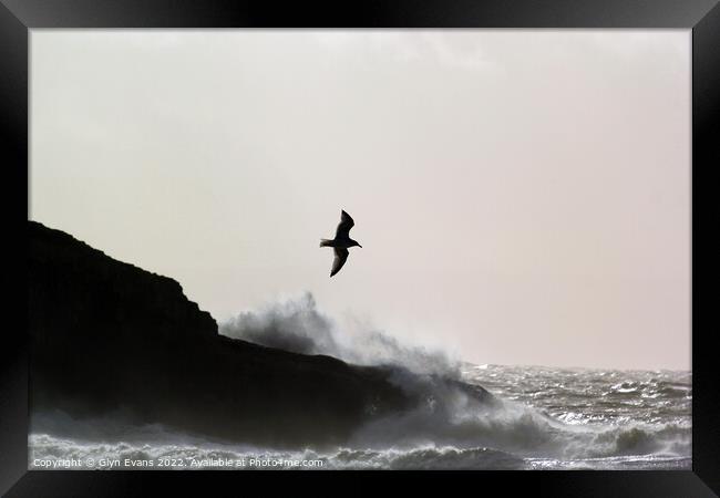 Flying through the storm at Dunraven Bay. Framed Print by Glyn Evans