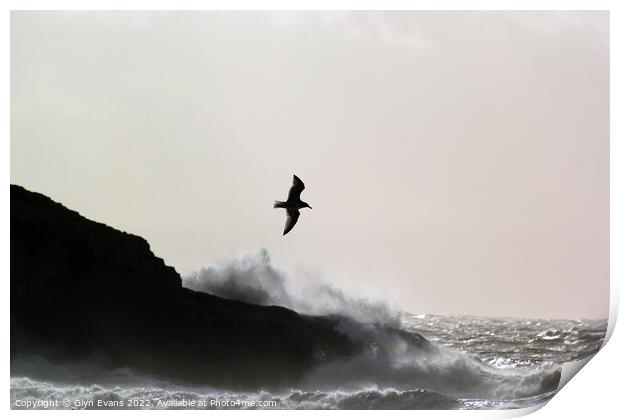 Flying through the storm at Dunraven Bay. Print by Glyn Evans
