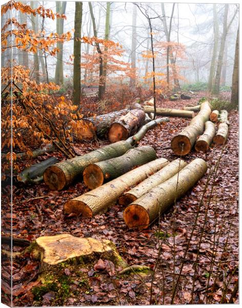 Logs lying on the ground in a woodland winter scene Canvas Print by Joy Walker