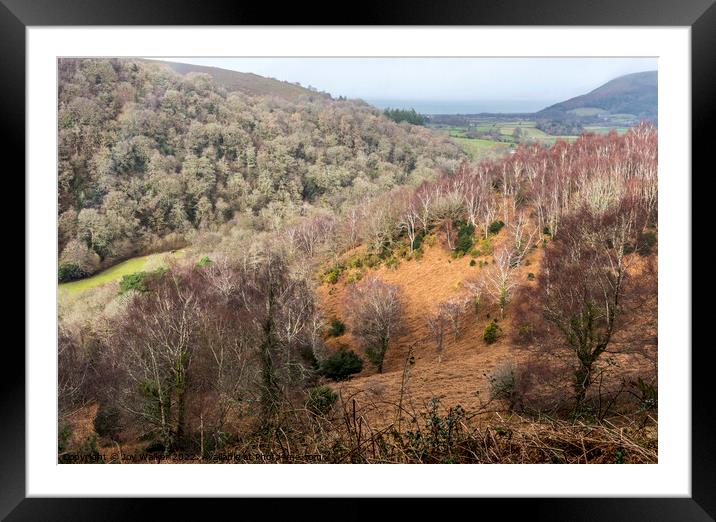 Horner wood on the edge of Exmoor, with the sea in the distance Framed Mounted Print by Joy Walker