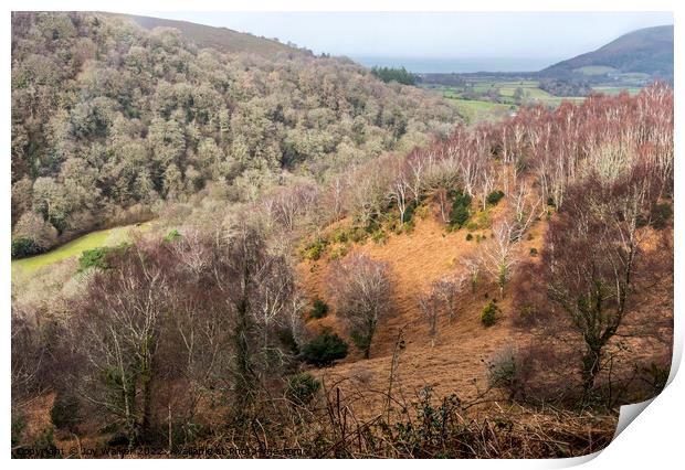 Horner wood on the edge of Exmoor, with the sea in the distance Print by Joy Walker