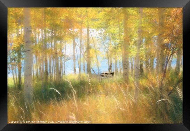 Autumn Dreams Framed Print by Donna Kennedy
