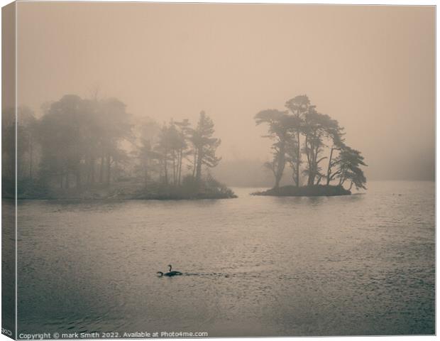 Tarn Hows in Mist Canvas Print by mark Smith