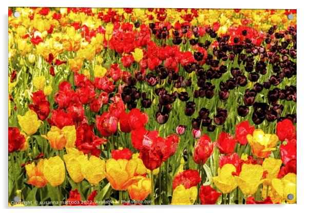 PENCIL SKETCH EFFECT of tulips Acrylic by susanna mattioda
