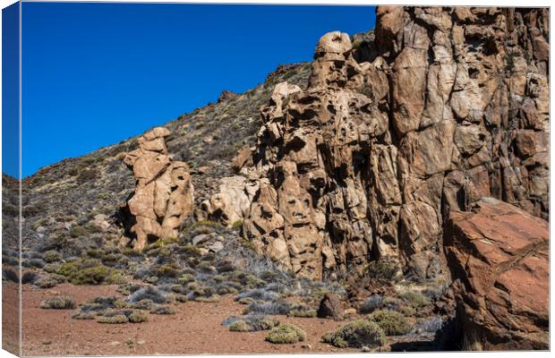 Volcanic landscape Tenerife Canvas Print by Phil Crean