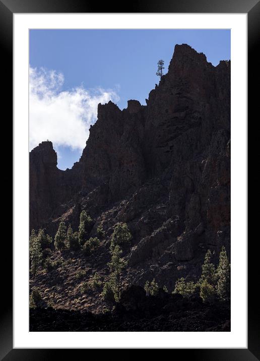 Lonesome Pine Teide National Park Tenerife Framed Mounted Print by Phil Crean