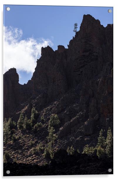 Lonesome Pine Teide National Park Tenerife Acrylic by Phil Crean