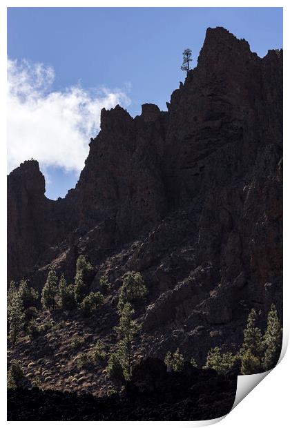 Lonesome Pine Teide National Park Tenerife Print by Phil Crean