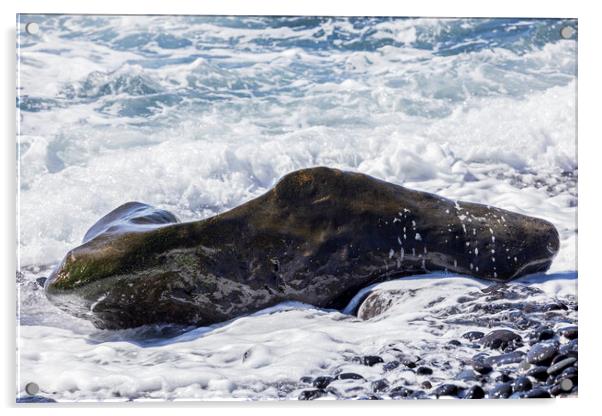 Rocky seascape Tenerife Acrylic by Phil Crean