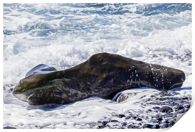 Rocky seascape Tenerife Print by Phil Crean