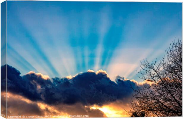 Crepuscular Rays Canvas Print by Trevor Camp