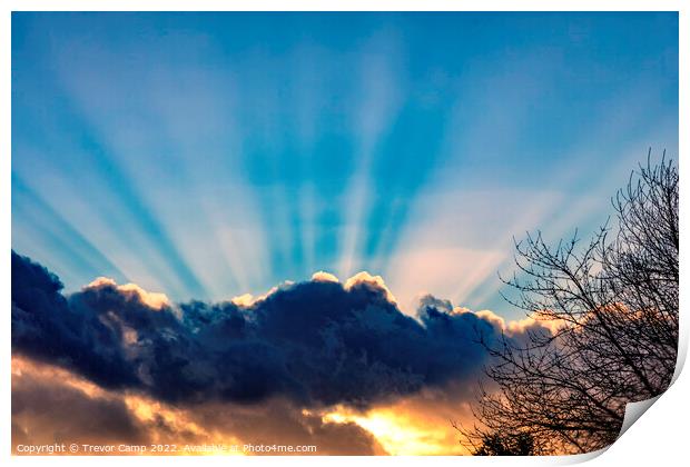 Crepuscular Rays Print by Trevor Camp