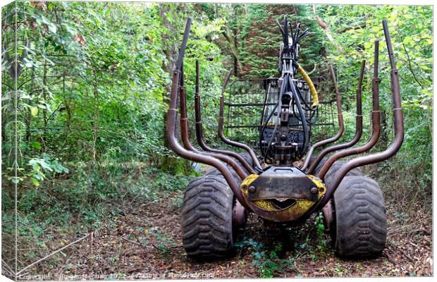 Timber Transporter in the Forest Canvas Print by Roger Mechan