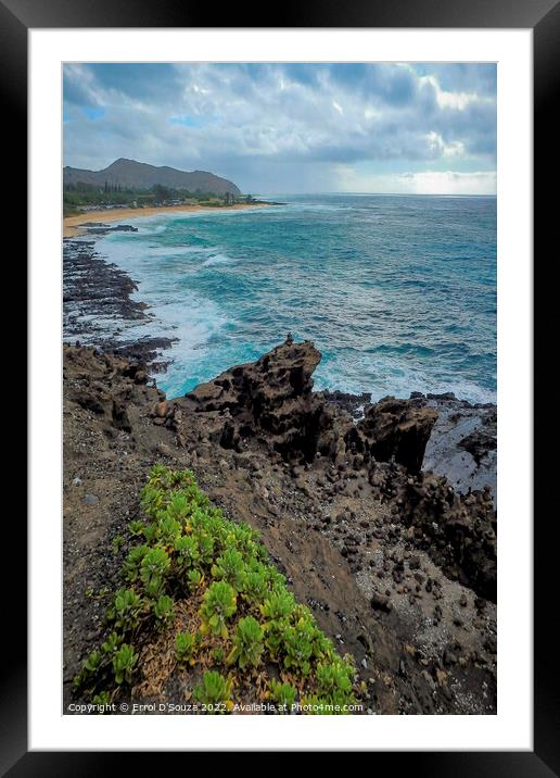 Sandy Beach Park, Oahu , Hawaii Framed Mounted Print by Errol D'Souza