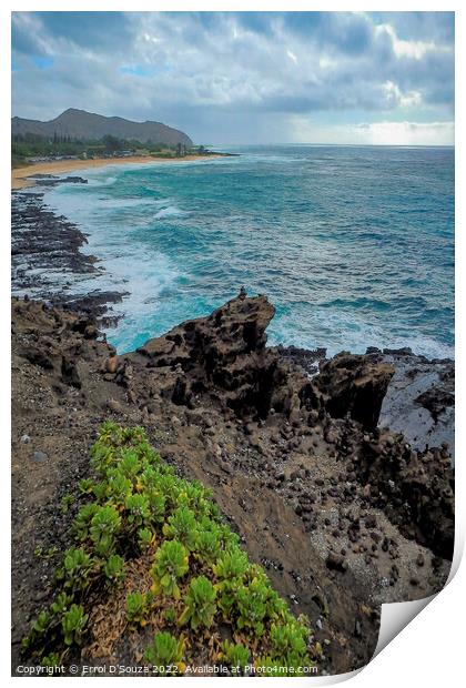 Sandy Beach Park, Oahu , Hawaii Print by Errol D'Souza