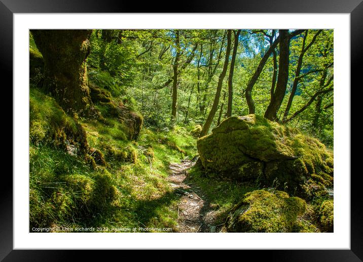 Summer at Gwenffrwd Dinas Framed Mounted Print by Chris Richards