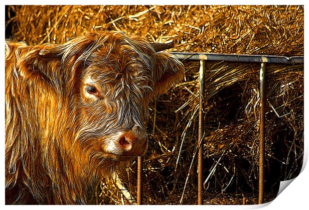 Highland Cow Print by Trevor Kersley RIP