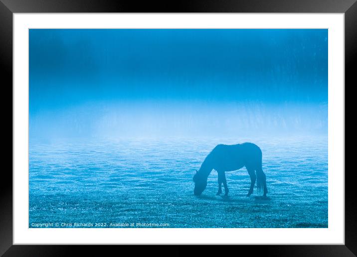 New Forest Pony Grazing in Morning Mist Framed Mounted Print by Chris Richards