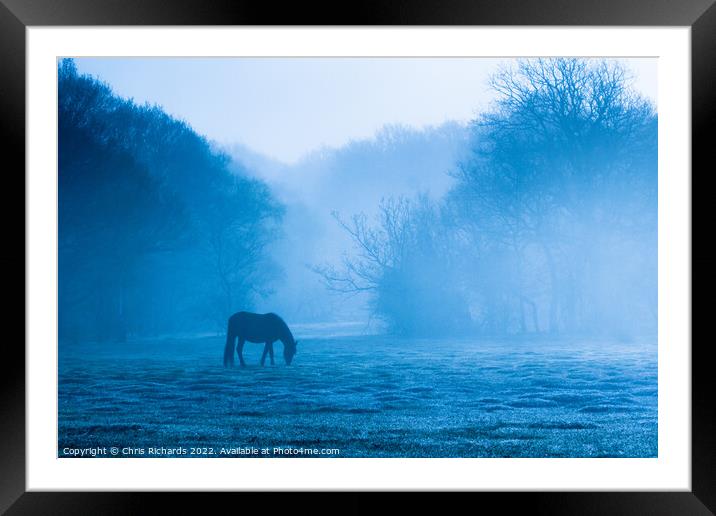 Horse Grazing in Morning Mist, New Forest, Hampshire Framed Mounted Print by Chris Richards