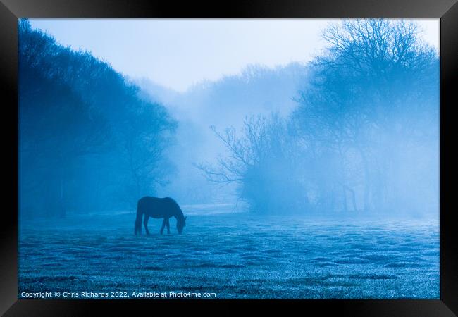 Horse Grazing in Morning Mist, New Forest, Hampshire Framed Print by Chris Richards