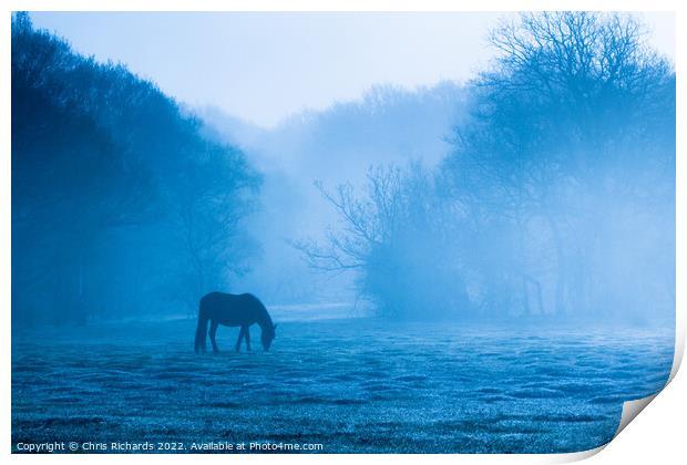 Horse Grazing in Morning Mist, New Forest, Hampshire Print by Chris Richards