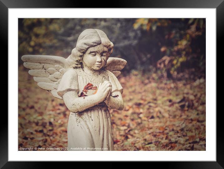 Graveside Angel at The Denson Landing Cemetery, Tennessee Framed Mounted Print by Peter Greenway