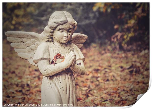 Graveside Angel at The Denson Landing Cemetery, Tennessee Print by Peter Greenway
